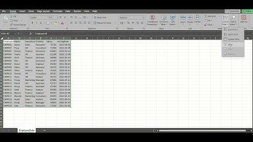 How to Apply Filter in Excel in 5 Seconds!
