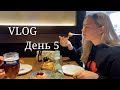 VLOG. Рабочие будни и ресторан Брюссель | НЕДЕЛЯ ВЛОГОВ. День пятый