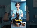 حقائق غريبة عن شكل الدوبرمان mp3