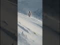 4K映像で見る昔の映像がヤバい...