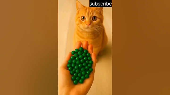 Cat Chuchi 🔴 Beads 📿🌈 Reverse Video #reversemoviefx #cat #reverse #reversed #asmr