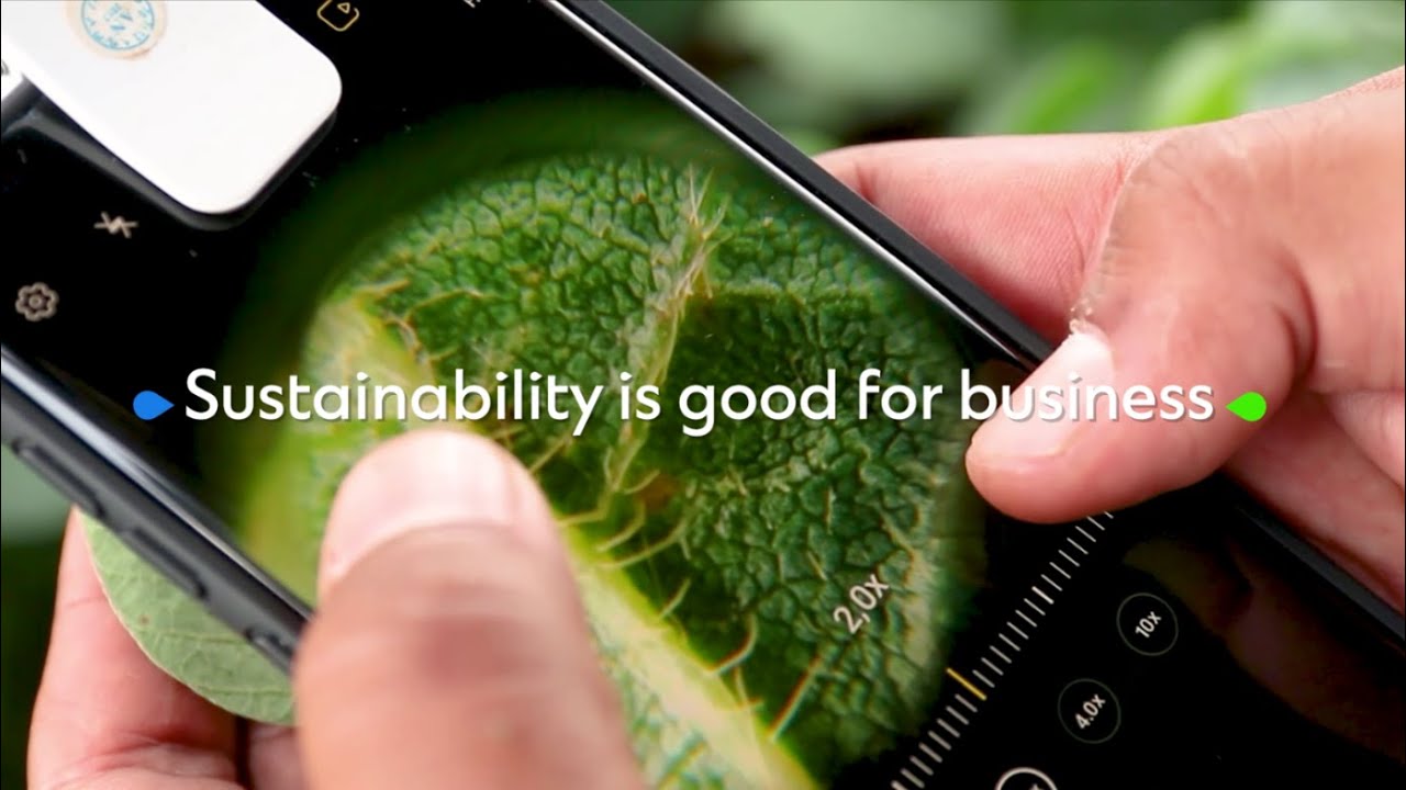 Sustainable trade financing with Standard Chartered YouTube