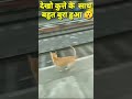 Train Accident With Dog Trainaccidentlive Viral Shorts Funny Comedyvideo Rinku Gupta Shorts Train Accident With Dog Trainaccidentlive Viral Shorts Funny Comedyvideo Rinku Gupta Shorts