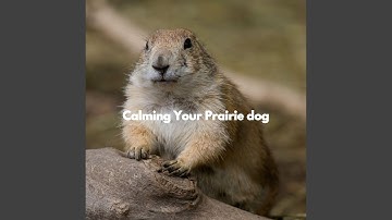 Mind-blowing Music for Keynote Tastes