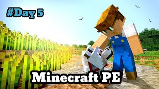 Minecraft PE • Day 5 (Basics) - Water Bucket💦 & Farming 👨🏻‍🌾