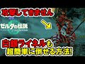 【ティアキン】ぶっ壊れ戦術!白銀ライネルも超簡単に倒せる方法!【ゼルダの伝説】