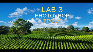 Bài Lab 3 Photoshop Fpoly | Cách làm bài tập Lab Photoshop
