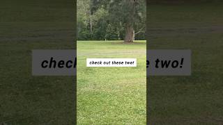 This is NOT about kangaroos! #aussiefiction #aussieauthor #australianoutback #australianstory