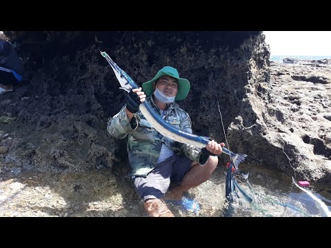 Video câu lure cá nhái ở hòn đỏ quá phê. @ngọc Lợi Ninh thuận - youtube