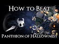 How to Beat the Pantheon of Hallownest with Walkthrough Commentary