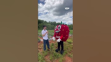 Matt About Town 2025 Wrapped!