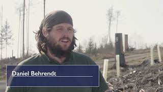 Kahle Gipfel im Taunus – Was kann für die Wiederaufforstrung getan werden?