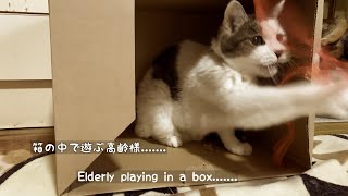 Elderly playing in a box.......     箱の中で遊ぶ高齢様.......