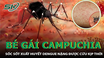 Cứu Thành Công Bé Gái Người Campuchia Bị Sốc Sốt Xuất Huyết Dengue Nặng I SKĐS