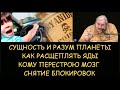 Н.Левашов: Есть ли сущность у планеты. О расщеплении ядов. Кому перестрою мозг. Снятие блокировок