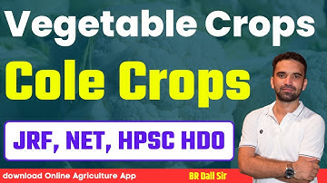 Cole Crops | ICAR JRF NET, ASRB NET, HPSC HDO 2023 | BR Dall Sir