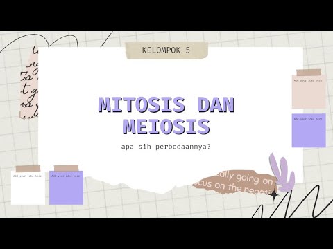 Video: Apa itu meiosis yang disederhanakan?