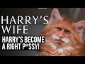 Harry´s Become a Right P**sy  (Meghan Markle)