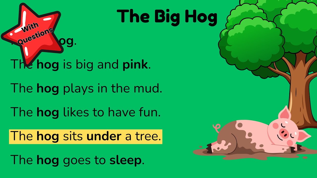 Reading Practice for Kindergarten to 1st grade | Comprehension Learning