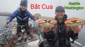 Hai Vợ Chồng Cody Bắt Cua Ở Biển Seattle Washington 