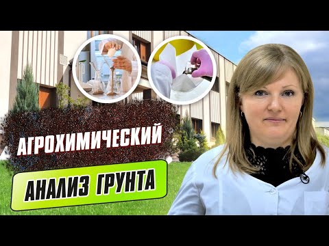 Video: Каттоодон чыгарылган компаниямды кантип калыбына келтирем?