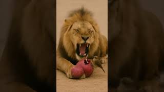 Dertdi Veren Dermanıda Veriyor