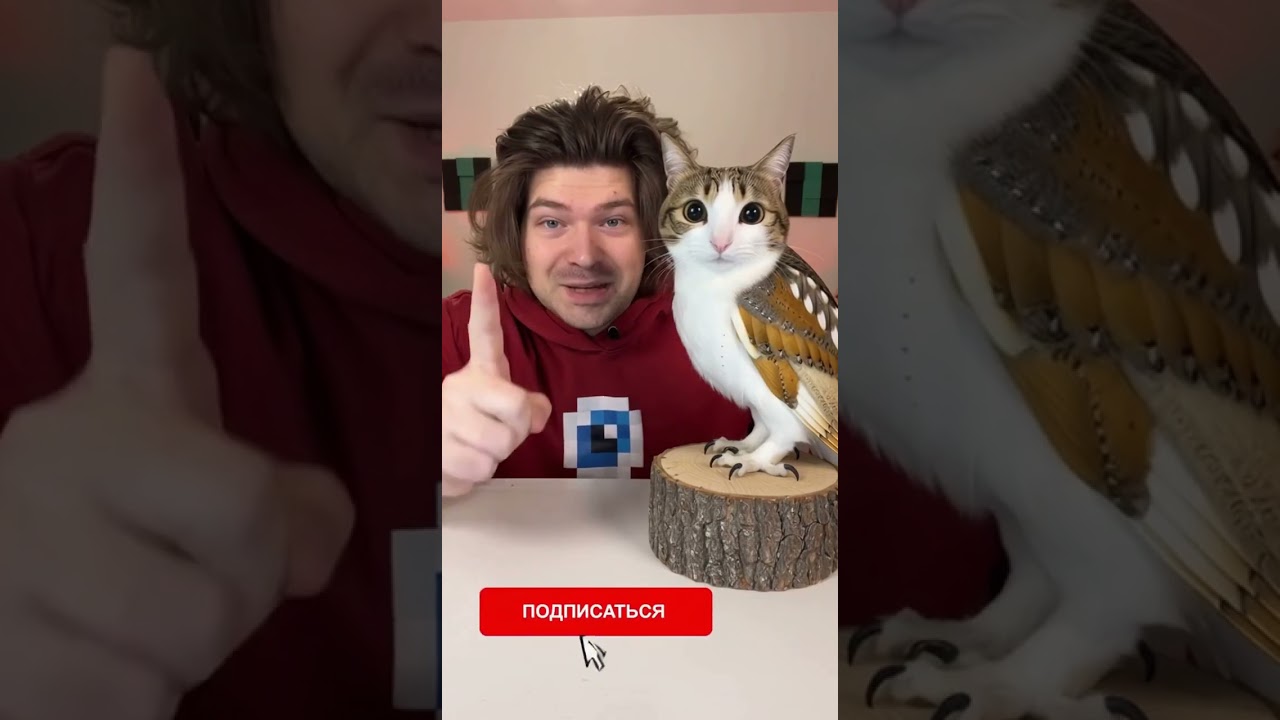 Фиксай считает итоги ￼🤔