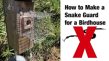 How to Make a Predator Guard for a Birdhouse