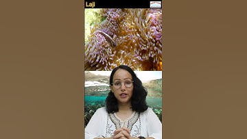 Coral Reefs | UPSC #shorts #hindi