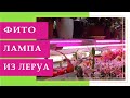 Фитолампа из Леруа  Удачная покупка!