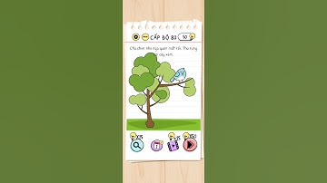 Brain test có giải thích tiếng Việt cấp độ 80