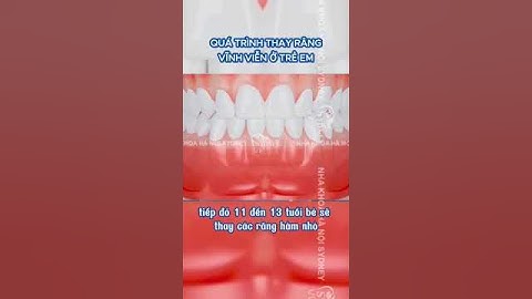 Quá trình thay răng vĩnh viễn ở trẻ như thế nào? #nhakhoahanoisydney #shorts