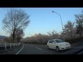 140423桜並木1805~クリーンレイク諏訪