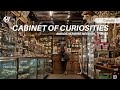 Cabinet of curiosities and otherwise needful things tour in hamilton ontario