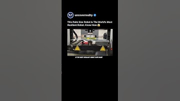 This Palm Sized Robot Is The World