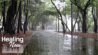 Helende regengeluiden gedurende 10 uur - Witte ruis voor het bestrijden van slapeloosheid