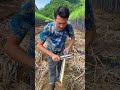 the best video