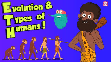 What Is Evolution & types of HUMANS | Dr Binocs Show | Peekaboo Kidz