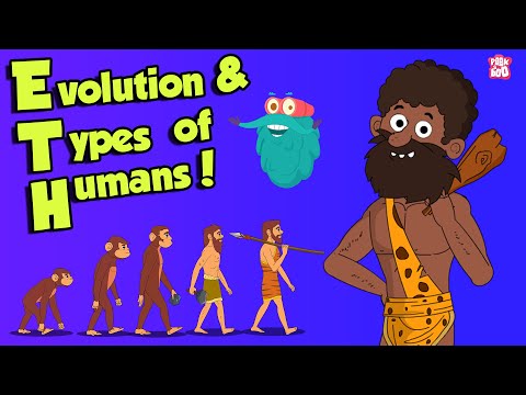 What Is Evolution & types of HUMANS | Dr Binocs Show | Peekaboo Kidz