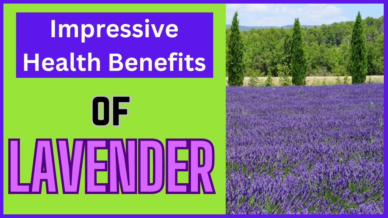 Health Benefits of Lavender lavender benefits for health YouTube