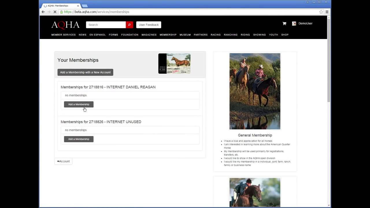 aqha forms and resources aqha transfer of ownership form