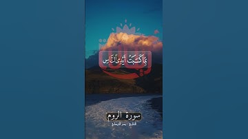 ظهر الفساد في البر والبحر. #سورة_الروم #بدر_التركي #قرآن #ريحانة_قرآن #تلاوات #تلاوات_خاشعة #ستوريات