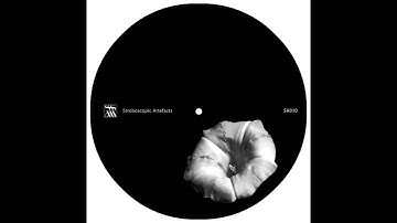 Donor - Lapse [Stroboscopic Artefacts - SA010]