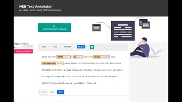 Custom Named Entity Recognition (NER) Open Source NER Annotator + spaCy | NLP Python