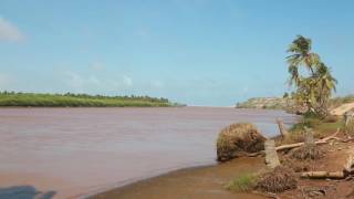 إلتقاء نهر جوبا مع المحيط الهندي قرية 'غوب وين' في الصومال 🌴🐬Where rivers meet the sea in Somalia