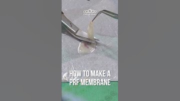 How to make a PRF Membrane #prf