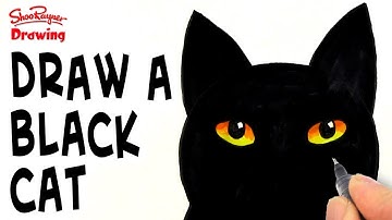 How to Draw a Black Cat