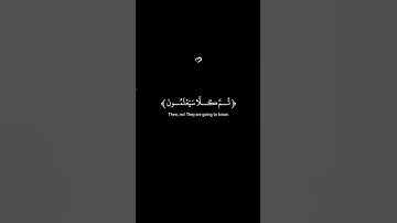 {سورة النبأ}