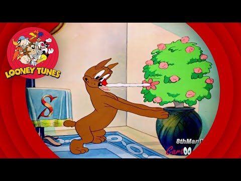 Looney Tunes -