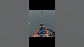 【バグ？】生配信中に海を走るチーター #shorts 【Rust】